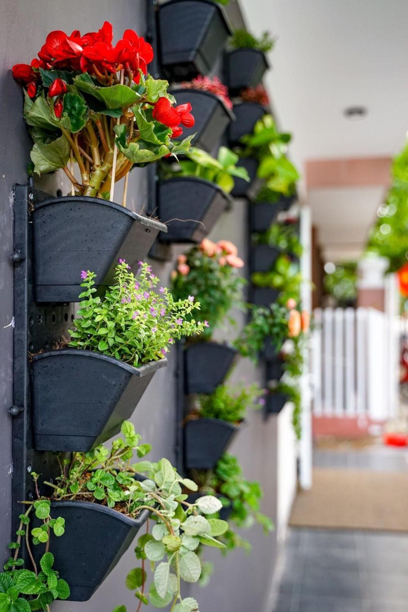 Local White House - Ecofriendly Homestay Da Nang Esterno foto