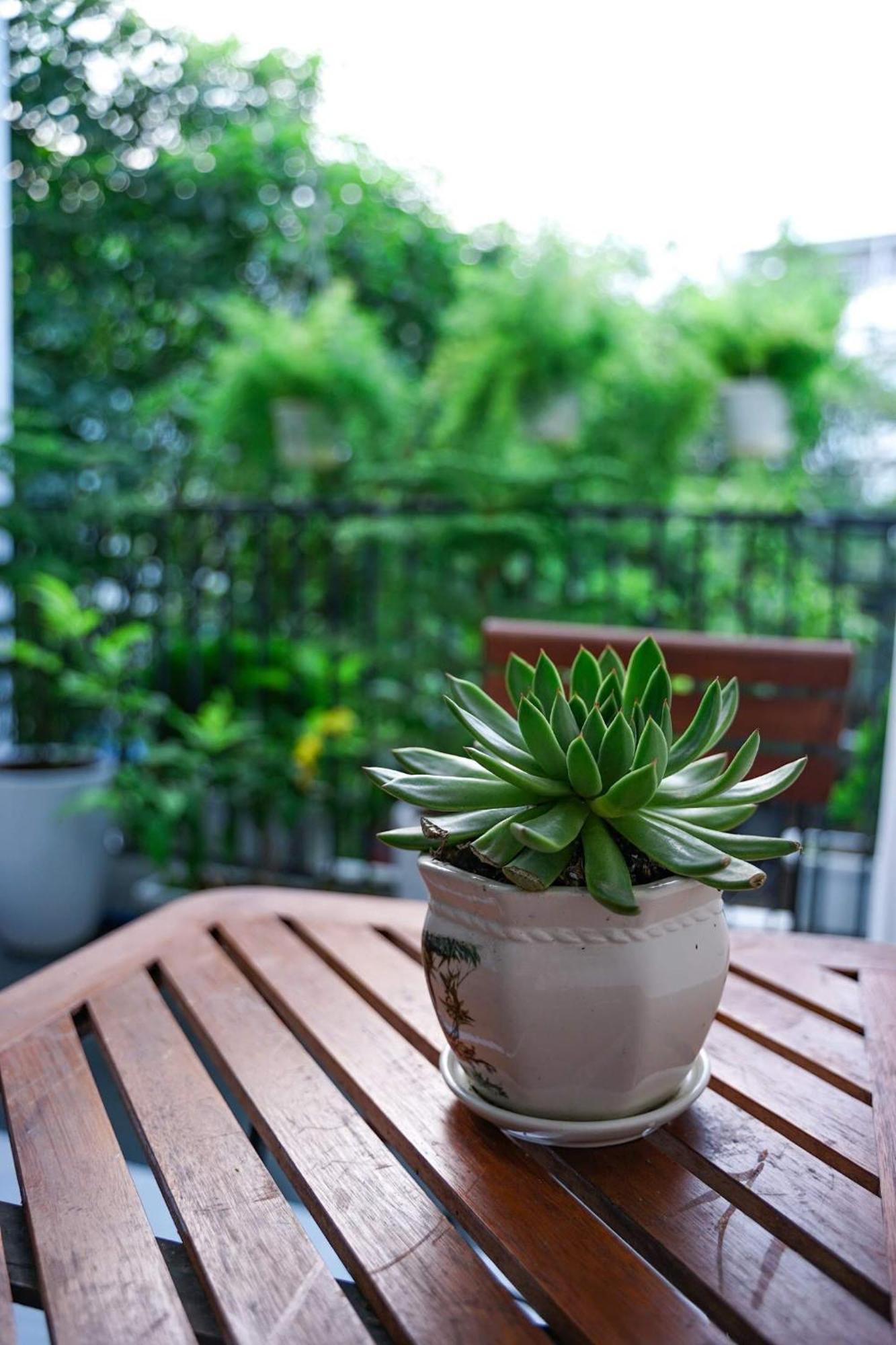 Local White House - Ecofriendly Homestay Da Nang Esterno foto