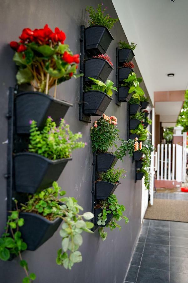 Local White House - Ecofriendly Homestay Da Nang Esterno foto